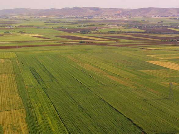 Arsa ve Arazi Değerleme